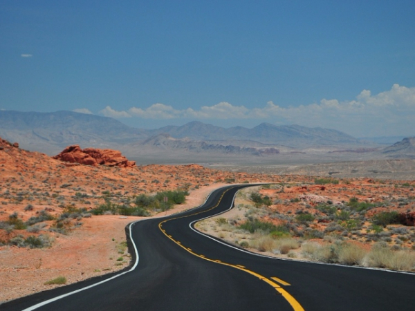 Would you rather live in the city, suburbs or rural area?
