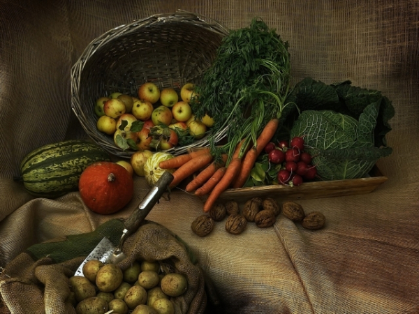 Is it justifiable to steal food to feed your starving children?