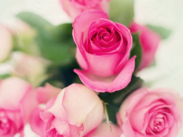 Which sounds like the most romantic gesture to you?