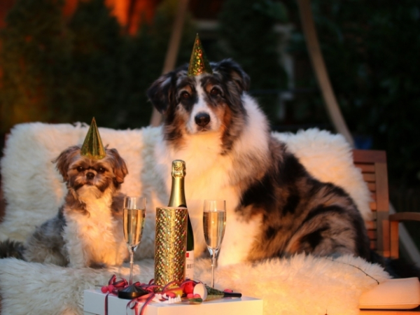 What time should a party start wrapping up at night?