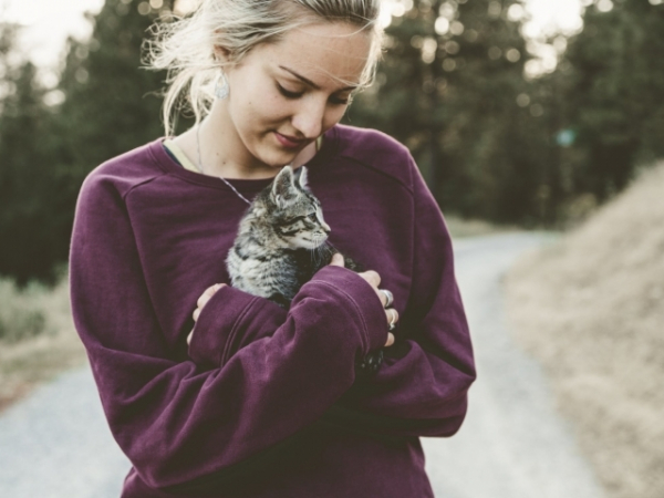 You find a litter of stray kittens. What do you do?