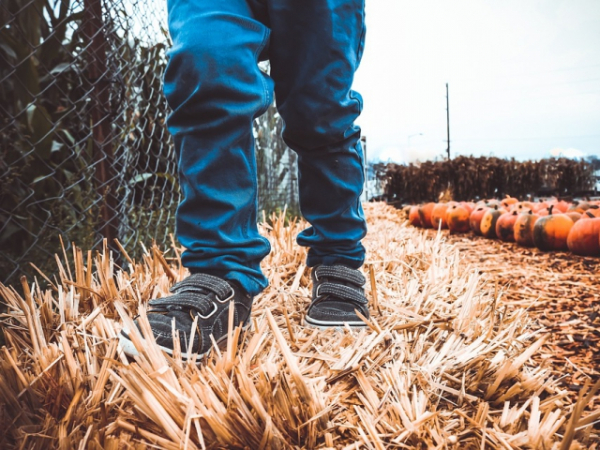 Which Thanksgiving chore would you most like to take on?