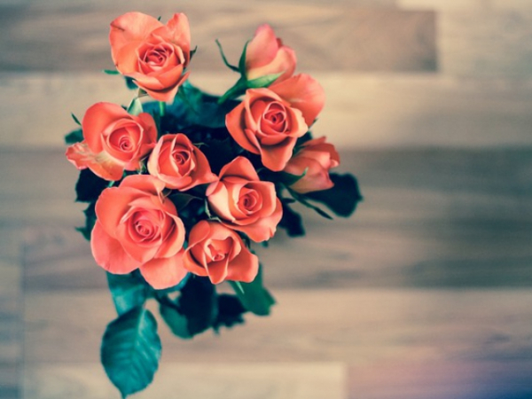 What language is romantic?