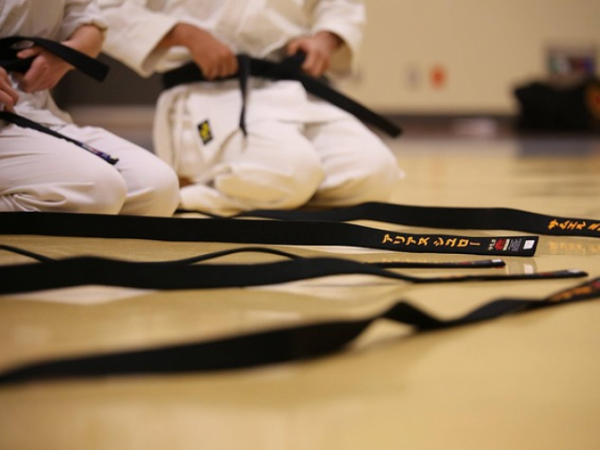 Which sport would you like to participate in the most of the following: