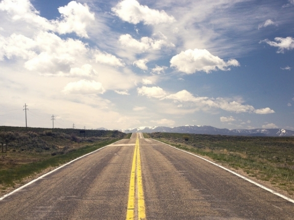 On a road trip, you're most likely the person who is what?