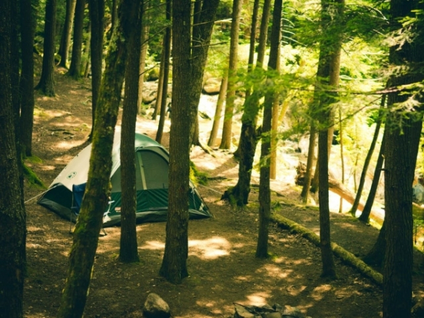 The best weekend trip would be...