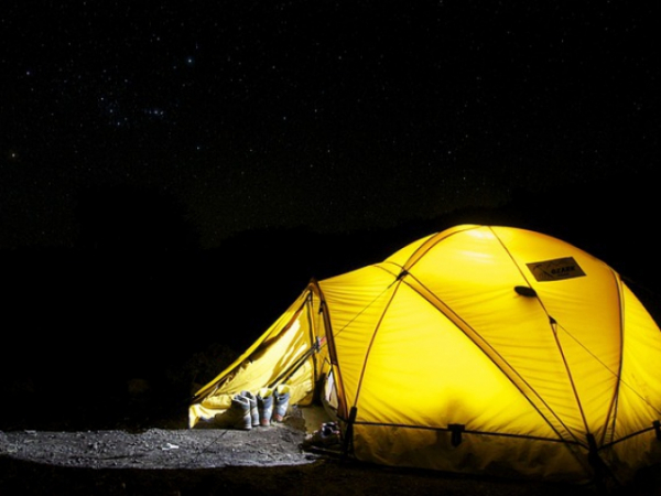 Which activity would you prefer to do in the woods?