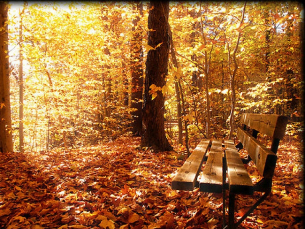 Favorite Season?