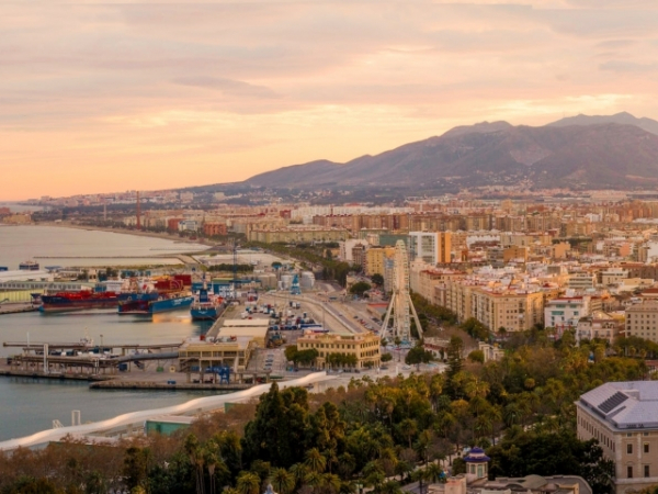 Have you ever studied abroad?