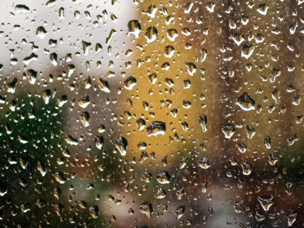What's the best way to spend a rainy Saturday with your kids?