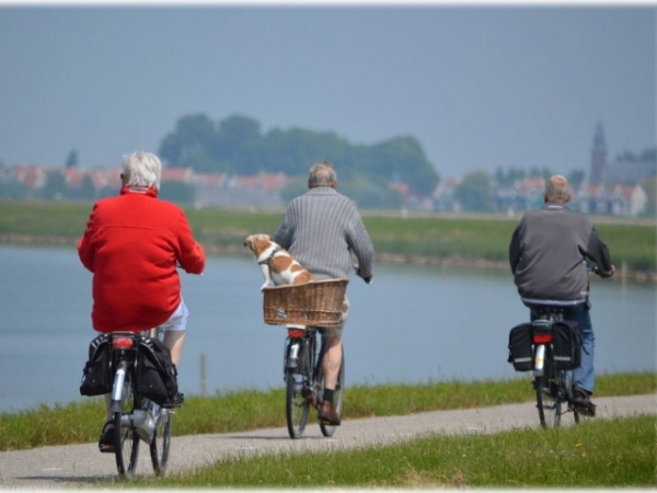 What age do you wish you could permanently be?