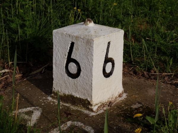 Choose a number between 6 and 10: