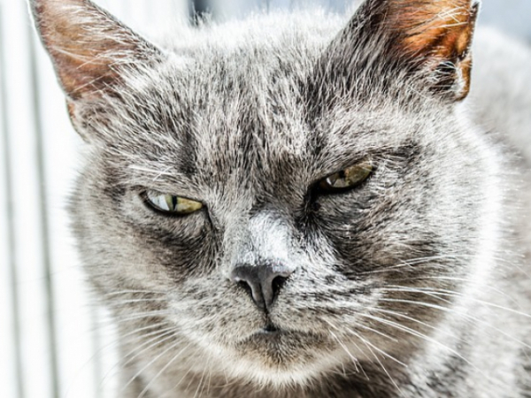 How do you deal with a rude coworker?