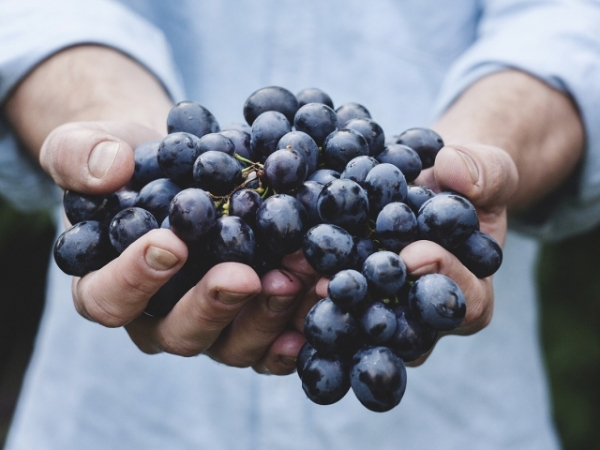 How health conscious are you?