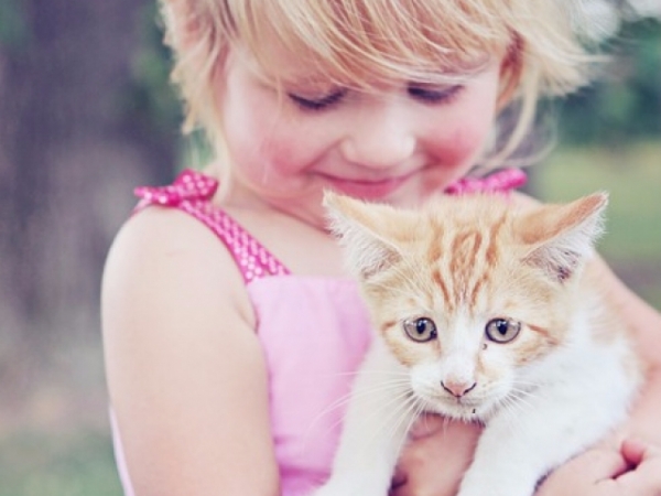 Which pet would make you happiest?