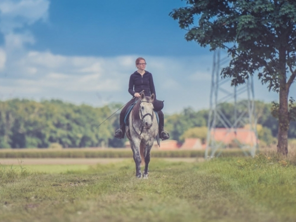 What's your preferred method of transportation?