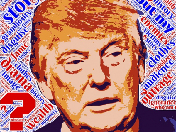 Do you follow politics?