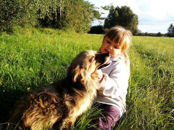 How do you feel about children and pets?
