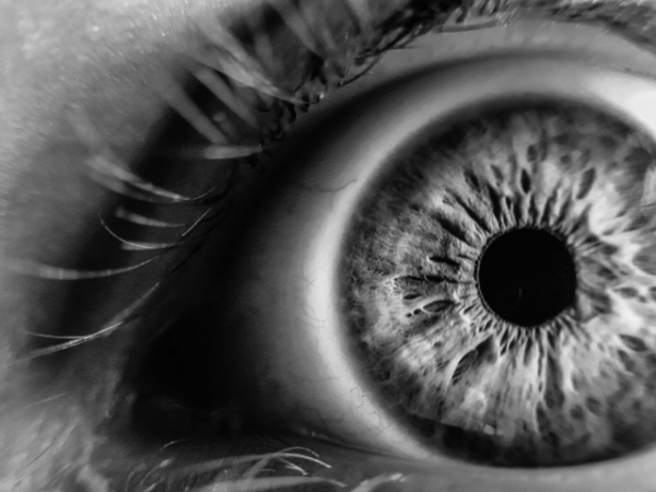 Which of your five senses would you give up?