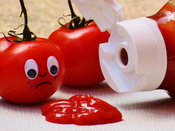 A diner asks for a ketchup on a dish you expertly prepared, what's your reaction?