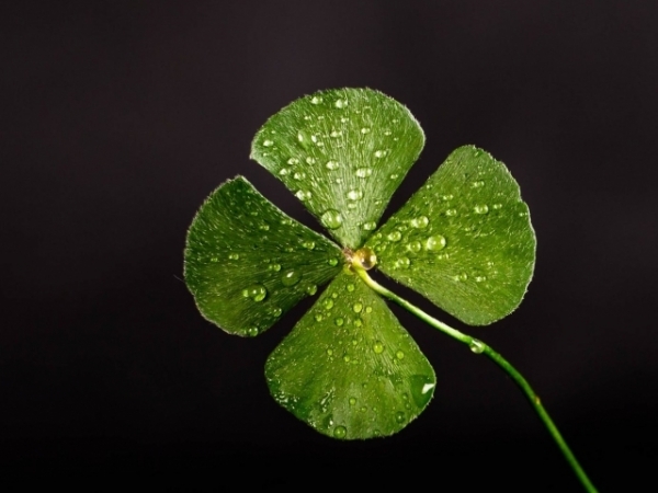 When do you feel the luckiest?