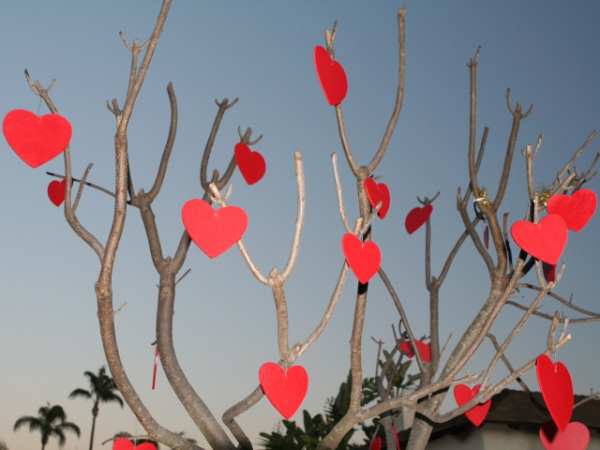 What would be your favorite Valentine's Day gift?