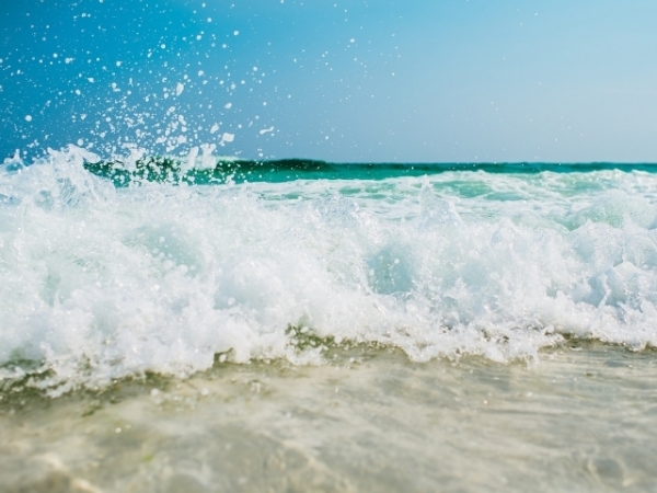 Would you rather spend the day hiking or at the beach?