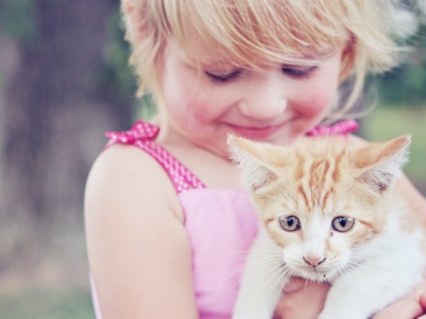 Pick a pet!