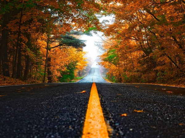 What is your favorite way to get around?