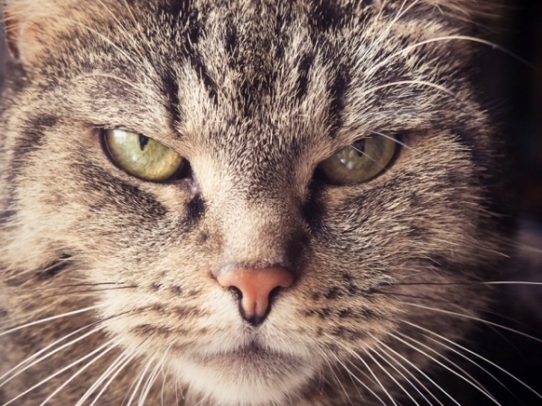 What annoys you the most?