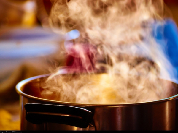 Who in your family is most likely to cook Thanksgiving dinner?