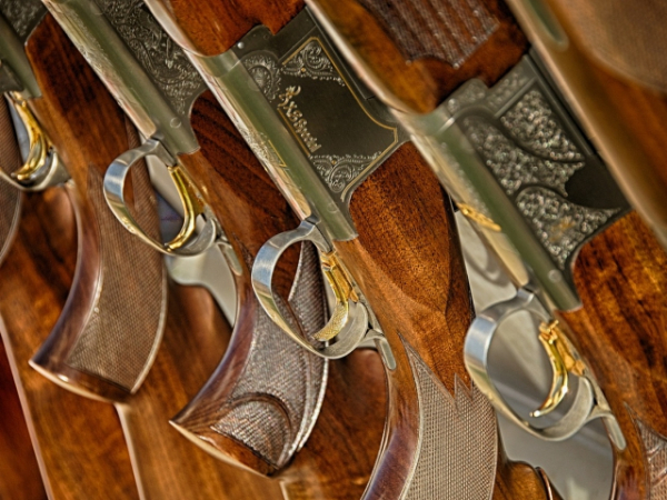 Would you ever own a gun?