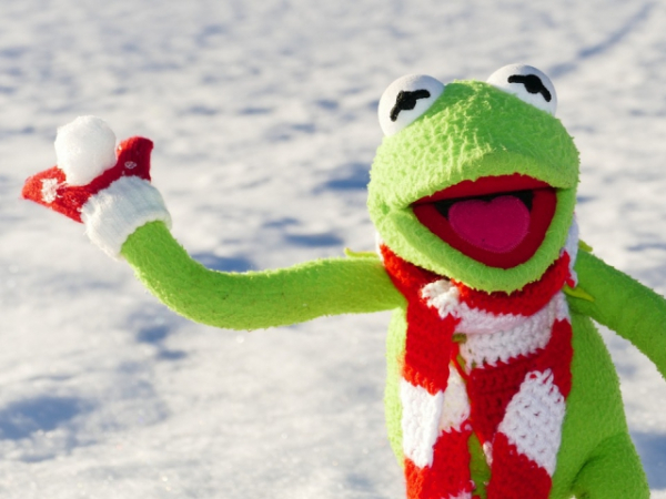 A snowball fight is...