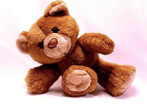 Which stuffed animal resembles you the most?