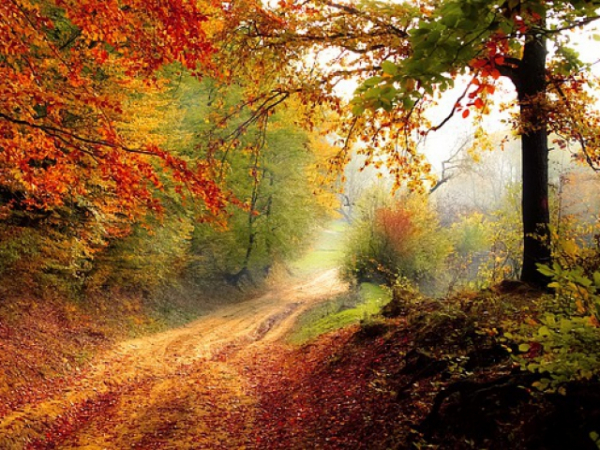 What is your favorite season?