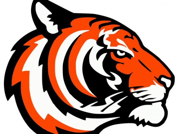 How do you think school mascots should be chosen?
