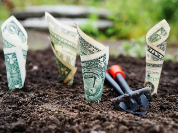 You are short on money. What do you to get by?