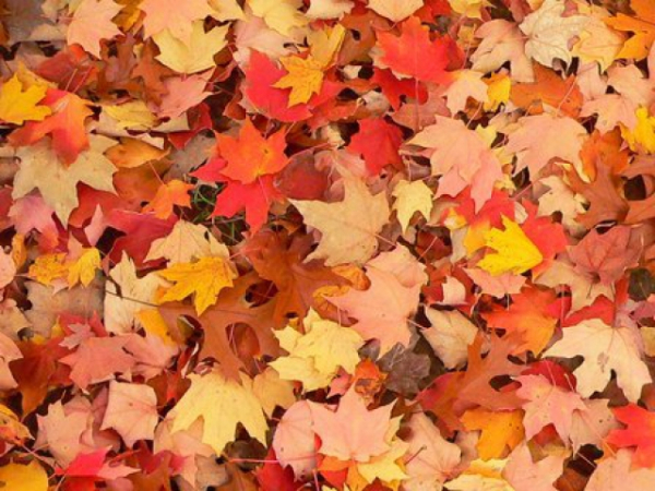 What's your favorite season?