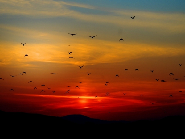 If you were a time of day, which one would you be?