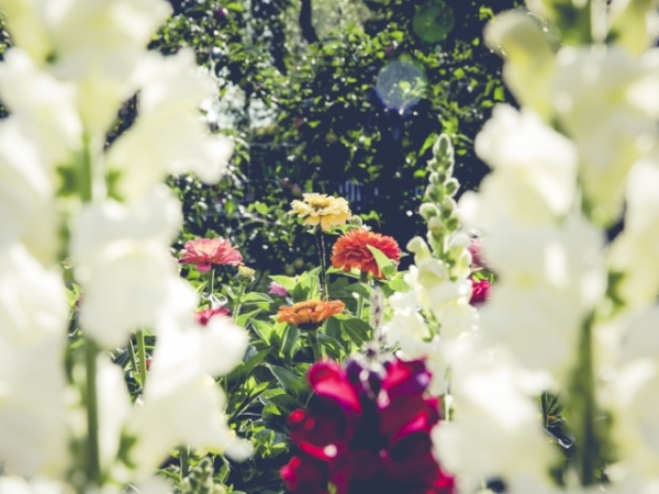 Which season makes you feel most at peace?