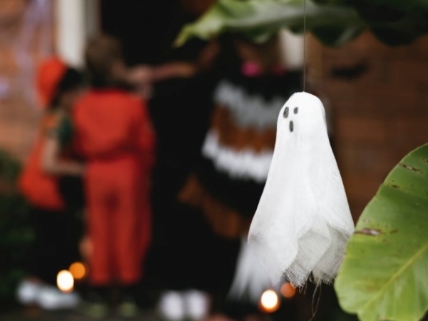 Do you believe in the paranormal?