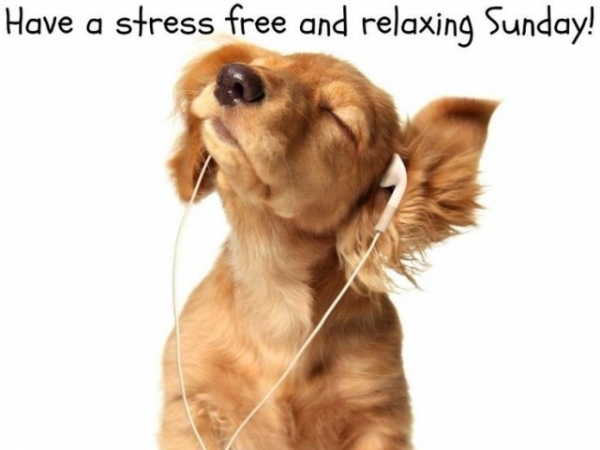 What's your favorite day of the week?
