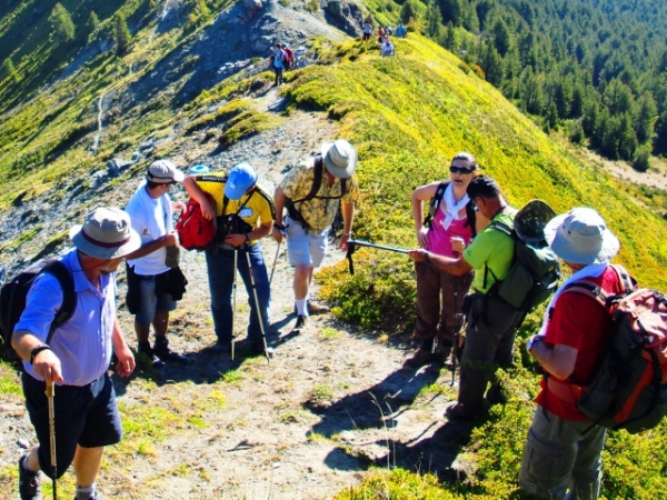 Which of the following is your favorite outdoor activity?
