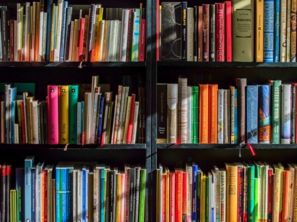 You can choose any book off of the library shelf. What would catch your eye?