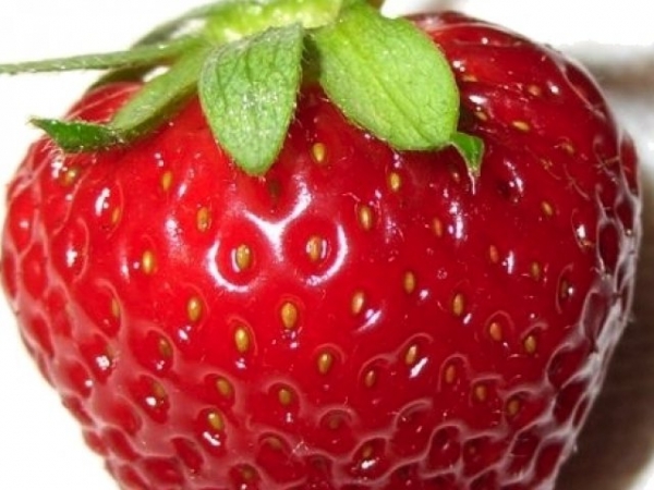 Pick a red fruit!