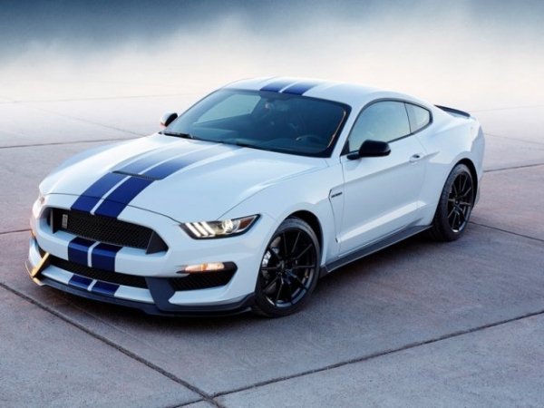 Yes or no to racing stripes?