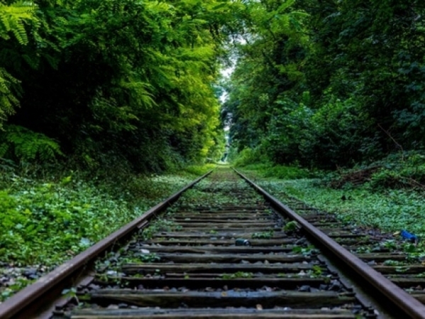 At what pace do you live your life?