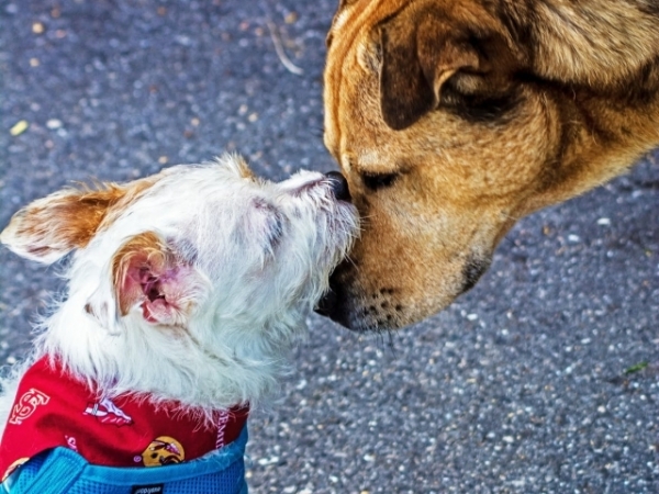 When it comes to friendship is quantity or quality more important?