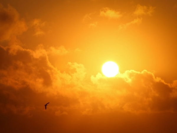 The sun rises in the....