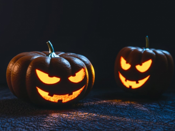 Were your Halloween costumes homemade or store bought?